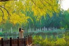 av麻豆电影在线观看-远离诱惑，构筑健康网络观影环境