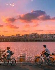 成人高考数学教学视频-成人高考，数学教学的视频助力