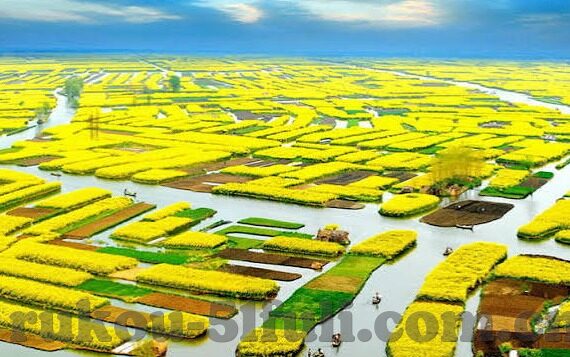 麻豆-传媒app-一探究竟，麻豆-传媒app的数字世界与文化反思