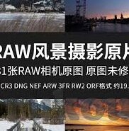 糖心VLOG官网-独家揭秘，糖心VLOG官网的魅力之旅