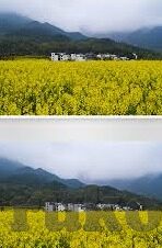 糖心vlog苹果版-糖心vlog苹果版的独特魅力与影响——探秘移动视频生活的潮流新风向