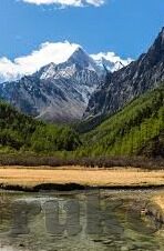 糖心vlog在线免费-探寻网络魅力，糖心Vlog——在线免费的内容新体验