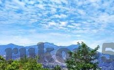 亚洲人妻一区在线-亚洲文化与家庭观念的多元视角，以网络空间为镜